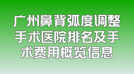 广州鼻背弧度调整手术医院排名及手术费用概览信息