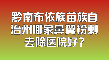 黔南布依族苗族自治州哪家鼻翼粉刺去除医院好？