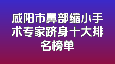 咸阳市鼻部缩小手术专家跻身十大排名榜单