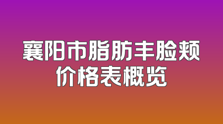 襄阳市脂肪丰脸颊价格表概览