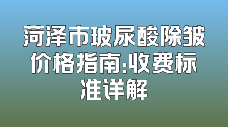 菏泽市玻尿酸除皱价格指南：收费标准详解