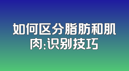 如何区分脂肪和肌肉：识别技巧