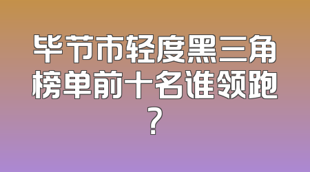 毕节市轻度黑三角榜单前十名谁领跑？