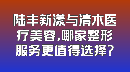 陆丰新漾与清木医疗美容，哪家整形服务更值得选择？