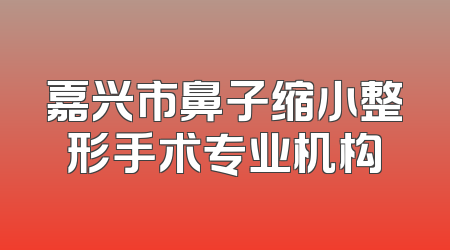 嘉兴市鼻子缩小整形手术专业机构