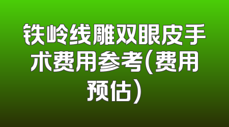铁岭线雕双眼皮手术费用参考（费用预估）