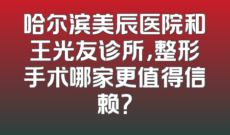 哈尔滨美辰医院和王光友诊所，整形手术哪家更值得信赖？
