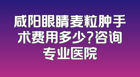 咸阳眼睛麦粒肿手术费用多少？咨询专业医院