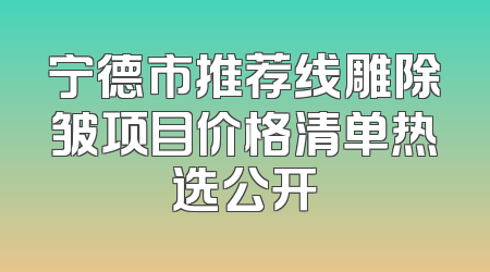 宁德市推荐线雕除皱项目价格清单热选公开