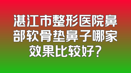 湛江市整形医院鼻部软骨垫鼻子哪家效果比较好？