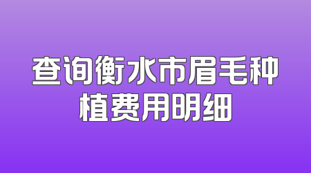 查询衡水市眉毛种植费用明细