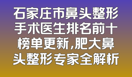 石家庄市鼻头整形手术医生排名前十榜单更新，肥大鼻头整形专家全解析
