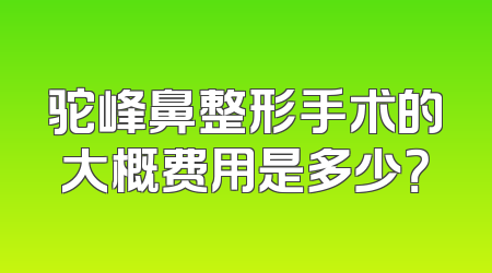 驼峰鼻整形手术的大概费用是多少？