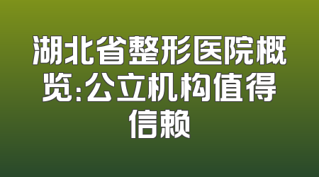 湖北省整形医院概览：公立机构值得信赖
