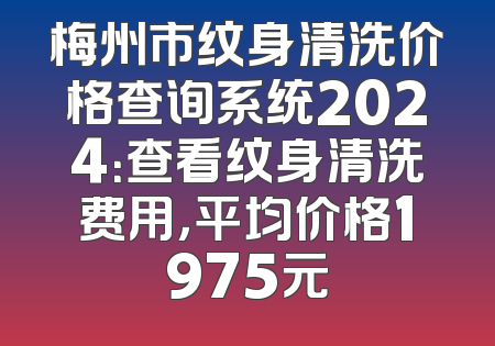 梅州市纹身清洗价格查询系统2024：查看纹身清洗费用，平均价格1975元