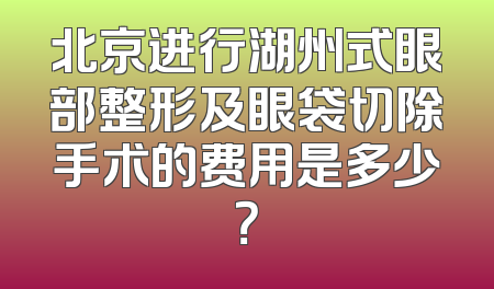 北京进行湖州式眼部整形及眼袋切除手术的费用是多少？