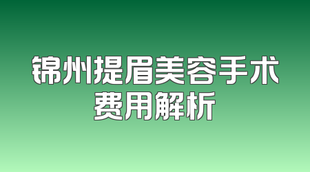 锦州提眉美容手术费用解析