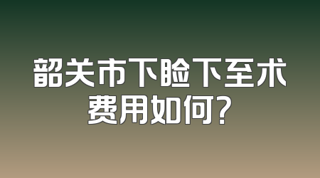 韶关市下睑下至术费用如何？