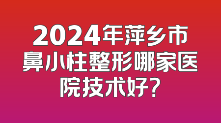 2024年萍乡市鼻小柱整形哪家医院技术好？