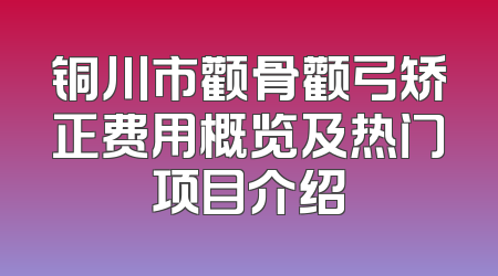 铜川市颧骨颧弓矫正费用概览及热门项目介绍