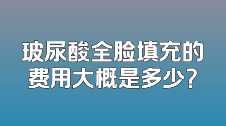 玻尿酸全脸填充的费用大概是多少？