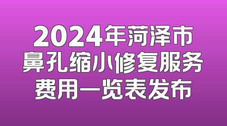 2024年菏泽市鼻孔缩小修复服务费用一览表发布