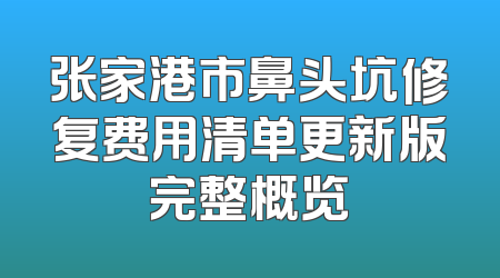 张家港市鼻头坑修复费用清单更新版完整概览