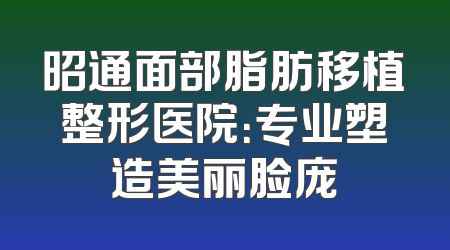 昭通面部脂肪移植整形医院：专业塑造美丽脸庞