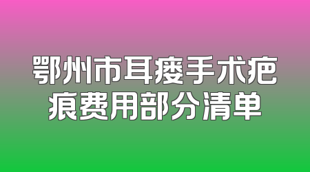 鄂州市耳瘘手术疤痕费用部分清单