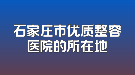 石家庄市优质整容医院的所在地