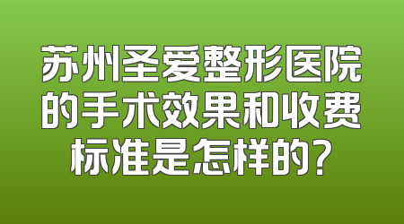 苏州圣爱整形医院的手术效果和收费标准是怎样的？