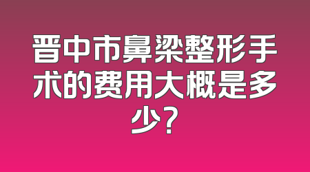 晋中市鼻梁整形手术的费用大概是多少？