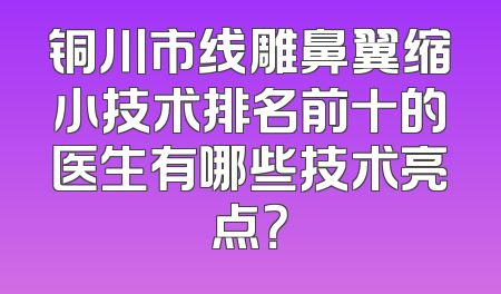 铜川市线雕鼻翼缩小技术排名前十的医生有哪些技术亮点？