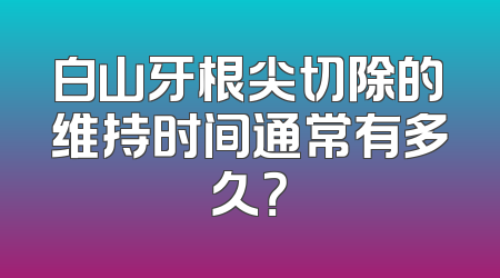白山牙根尖切除的维持时间通常有多久？