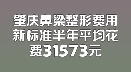 肇庆鼻梁整形费用新标准半年平均花费31573元
