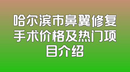 哈尔滨市鼻翼修复手术价格及热门项目介绍