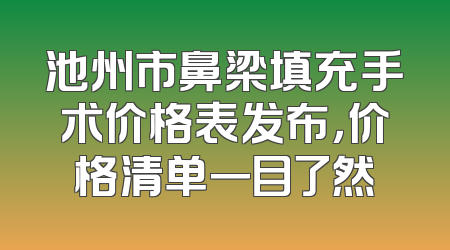 池州市鼻梁填充手术价格表发布，价格清单一目了然