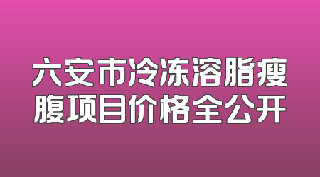 六安市冷冻溶脂瘦腹项目价格全公开
