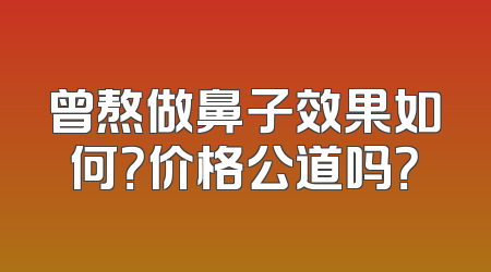 曾熬做鼻子效果如何？价格公道吗？