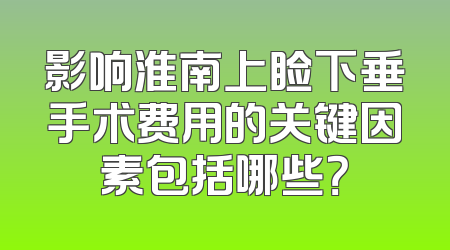 影响淮南上睑下垂手术费用的关键因素包括哪些？