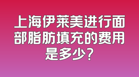 上海伊莱美进行面部脂肪填充的费用是多少？