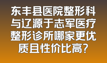 东丰县医院整形科与辽源于志军医疗整形诊所哪家更优质且性价比高？