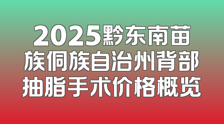 2025黔东南苗族侗族自治州背部抽脂手术价格概览