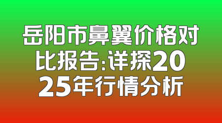 岳阳市鼻翼价格对比报告：详探2025年行情分析