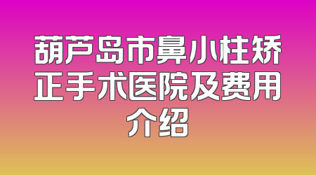 葫芦岛市鼻小柱矫正手术医院及费用介绍
