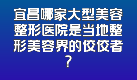 宜昌哪家大型美容整形医院是当地整形美容界的佼佼者？