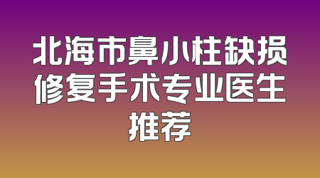 北海市鼻小柱缺损修复手术专业医生推荐