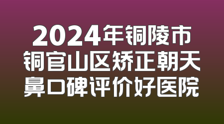 2024年铜陵市铜官山区矫正朝天鼻口碑评价好医院