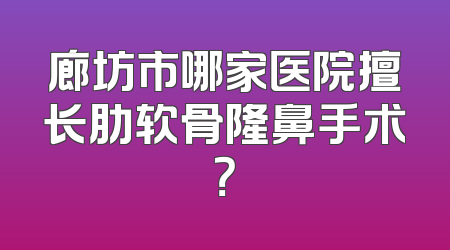 廊坊市哪家医院擅长肋软骨隆鼻手术？