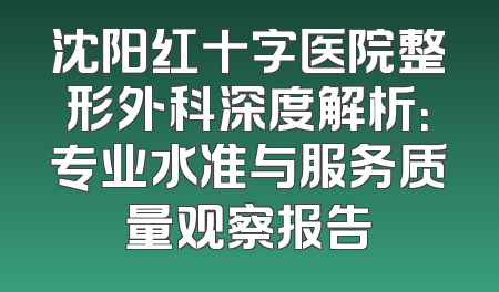 沈阳红十字医院整形外科深度解析：专业水准与服务质量观察报告